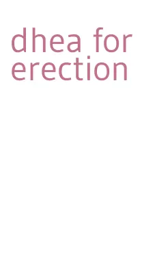 dhea for erection