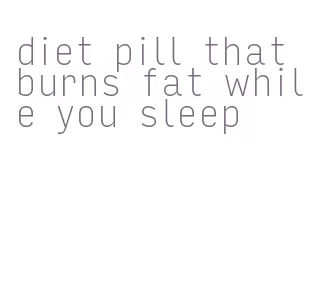 diet pill that burns fat while you sleep