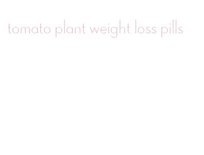 tomato plant weight loss pills