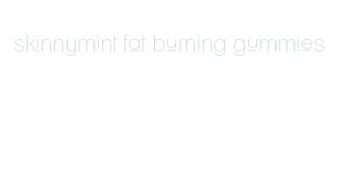 skinnymint fat burning gummies