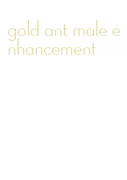 gold ant male enhancement