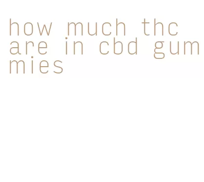 how much thc are in cbd gummies