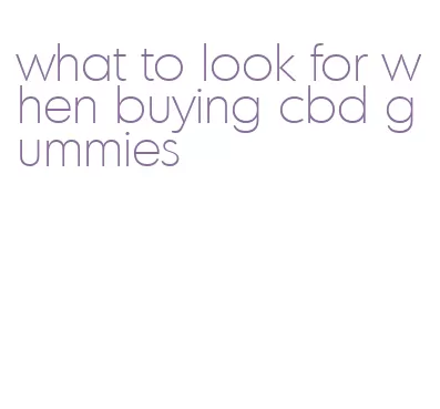 what to look for when buying cbd gummies