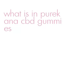 what is in purekana cbd gummies