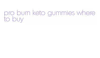 pro burn keto gummies where to buy