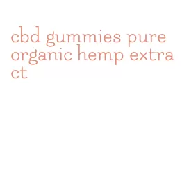 cbd gummies pure organic hemp extract