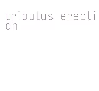 tribulus erection