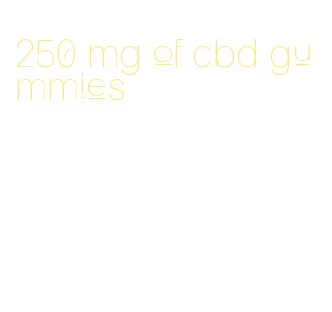 250 mg of cbd gummies