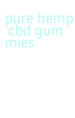 pure hemp cbd gummies