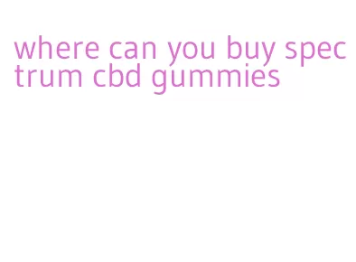 where can you buy spectrum cbd gummies